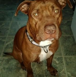 Meet your Posher, Melissa